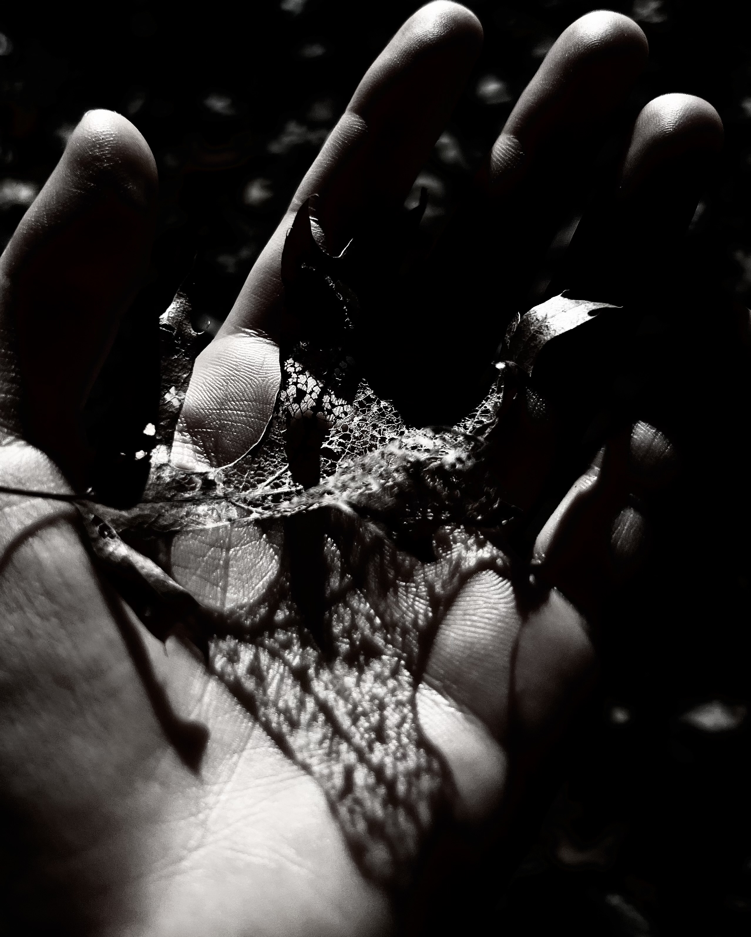 Photography project