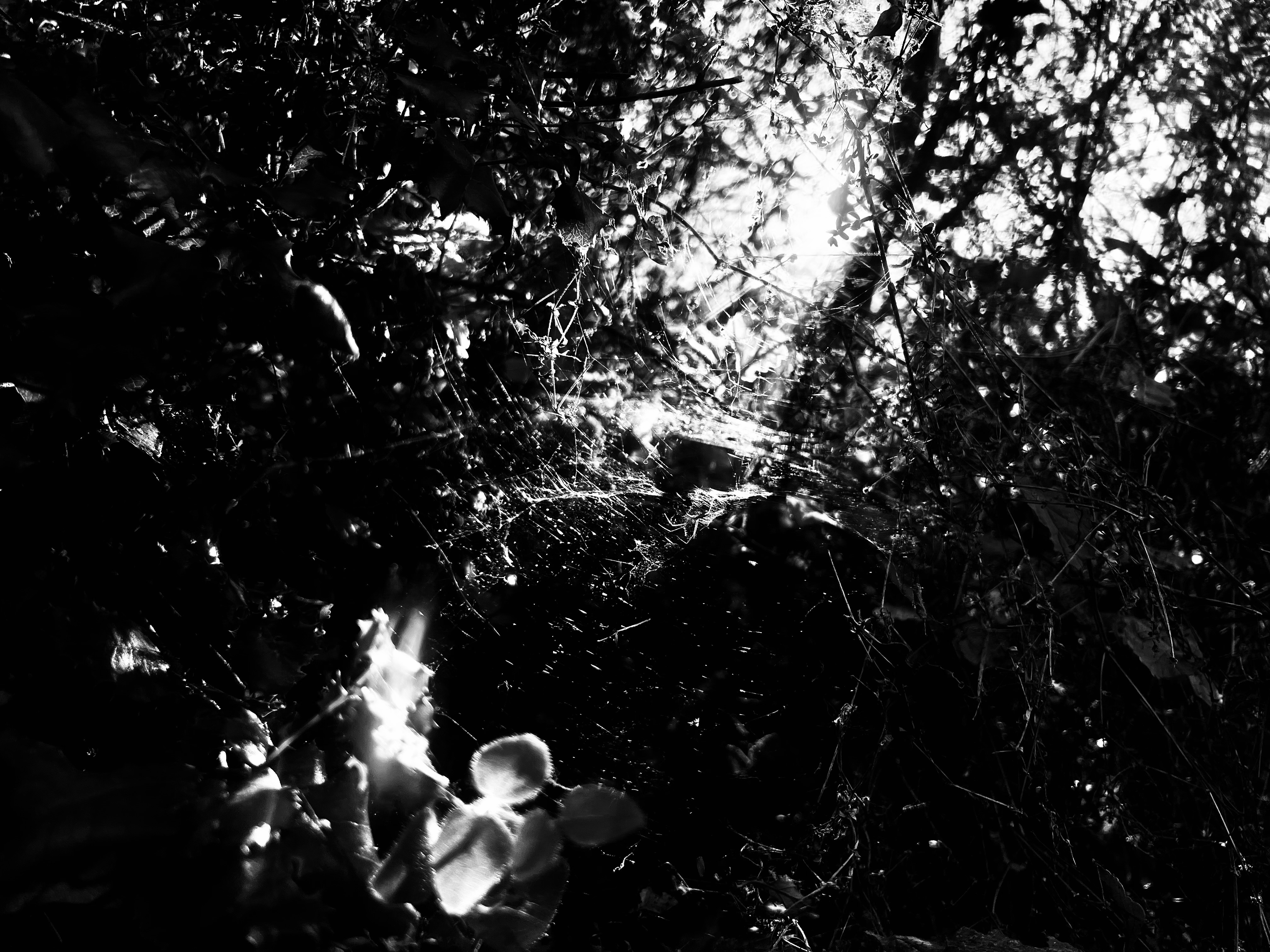 Photography project